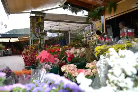 Gran Canaria: 3 Traditional Markets in One day