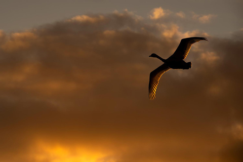 Beginners Wildlife Photography Workshop Beginners Wildlife Photography Group Workshop