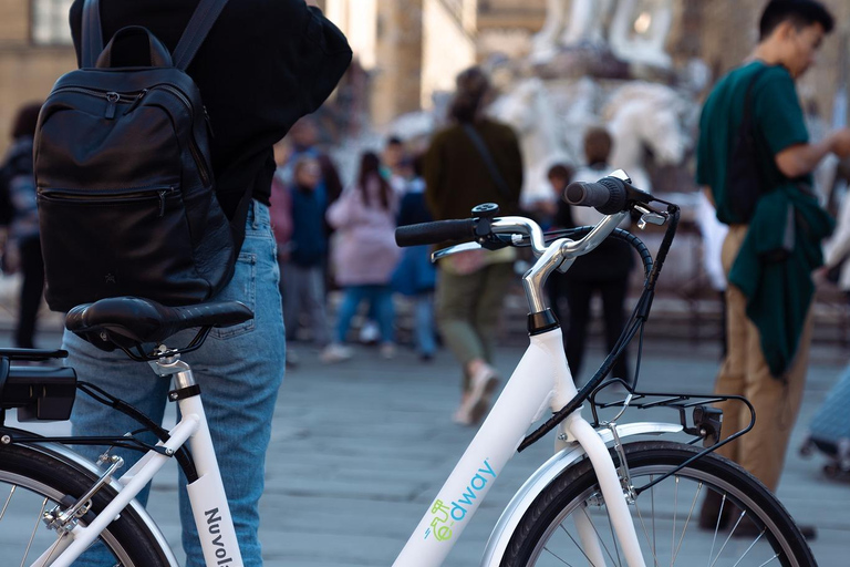 Florence: Chianti E-Bike Tour met Wijnproeverij en Lunch