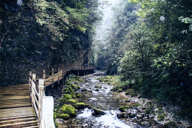 Visite exclusive d&#039;une journée du parc forestier national de Zhangjiajie (VIP)