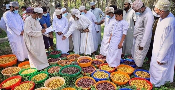 Muscat: Private Fanja Village, Souq, and Wadi Tayeen Tour