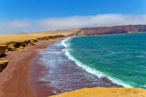 Scopri le spiagge di Ica|Aventura e rilassati nel deserto