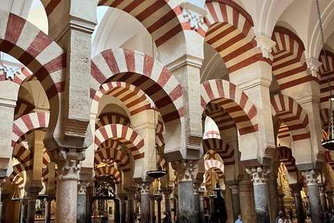 Córdoba: Mosque Private Tour and Tickets with Optional Tower