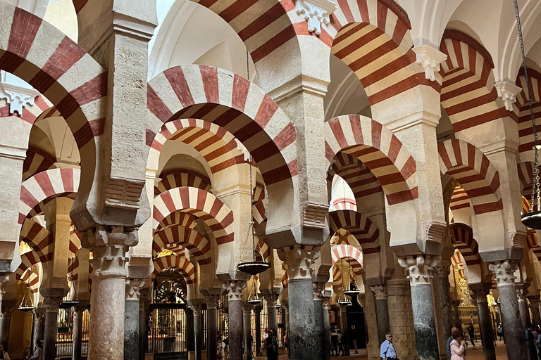 Córdoba: Mosque Private Tour and Tickets with Optional Tower