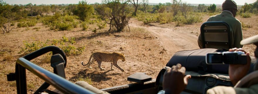 Safari à Dinokeng avec transfert