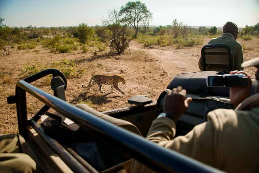 Dinokeng-Safari mit Transfer. Foto: GetYourGuide Dinokeng-Safari mit Transfer. Foto: GetYourGuide