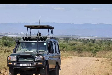 Sunrise 4-Hour Nairobi National Park Guided Safari 4-Hour Nairobi National Park Guided Safari without Entry Fee