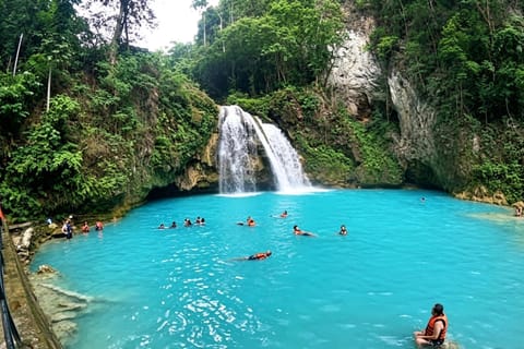 Cebu: Moalboal Island Hopping & Kawasan Falls Adventure - Image 2