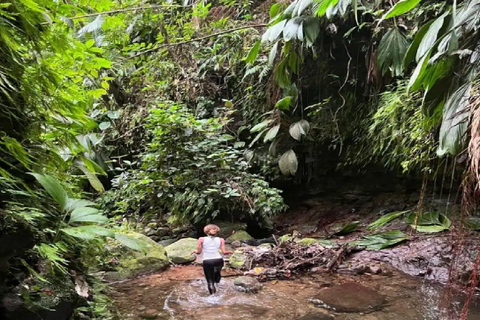 Advocaat Stephen Wandeling met waterval en grottentocht