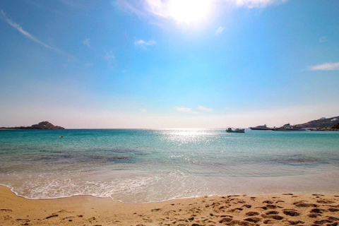 Cruzeiro guiado em Mykonos com um jipe exclusivo para passageiros: Visita obrigatória em 4h