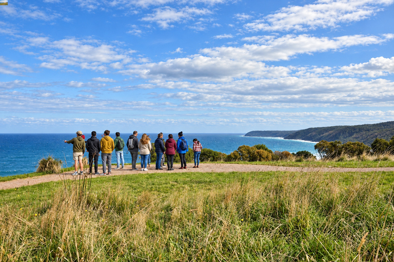 Melbourne: Great Ocean Road Tour, 12 Apostles & Apollo Bay Melbourne CBD Meeting Point (Max 50 guests)
