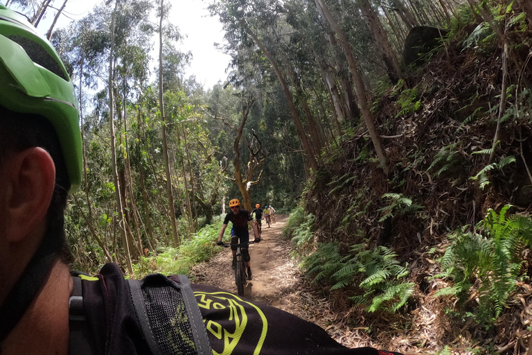 Madeira - Mountain Biking Tour