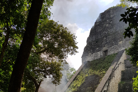 From Flores: Guided Tour to the Ruins of Tikal