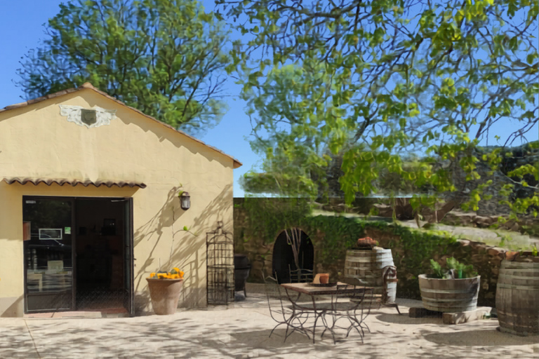 Port Grimaud & Provence Wine Private Tour | Little Venice