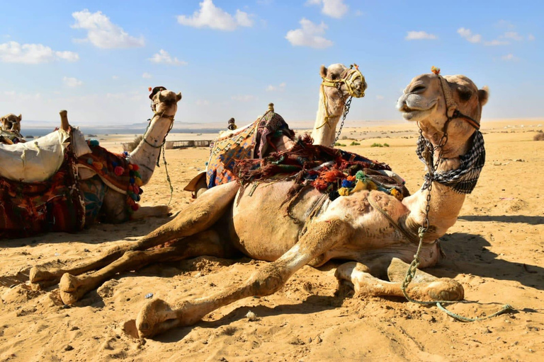 Cairo: 2-Day White Desert, Bahariya Oasis &amp; El-Fayoum Tour