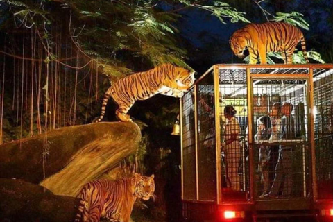 Bali: Safari Park and Tegenungan Waterfall Day Trip