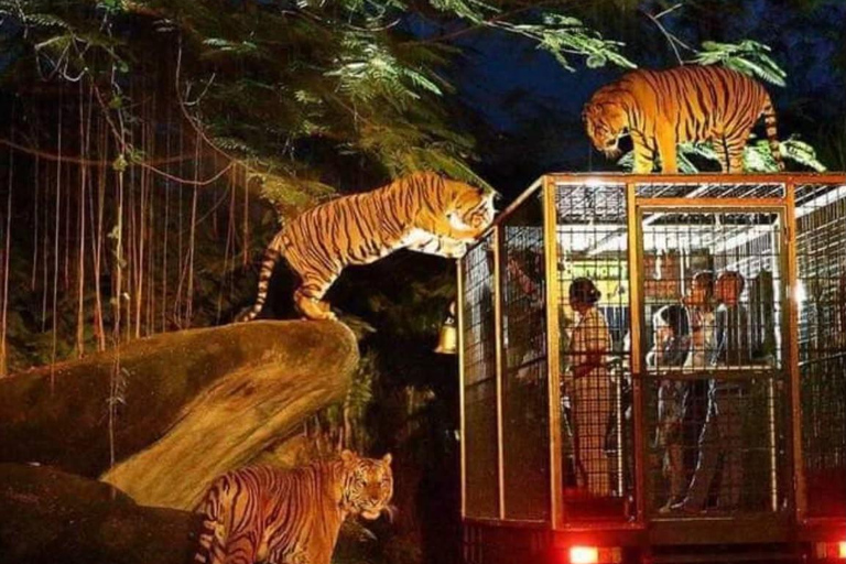 Bali: Safari Park and Tegenungan Waterfall Day Trip
