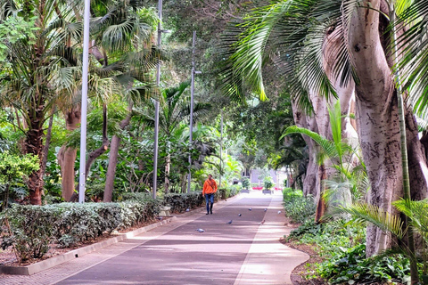 Santa Cruz: Paseo guiado por el casco antiguo - Lugares de interés y especiales