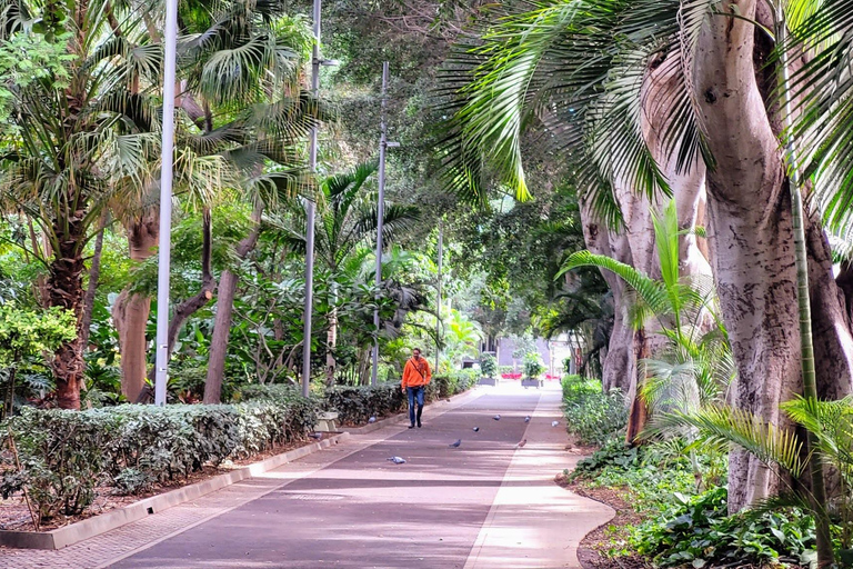 Santa Cruz: Paseo guiado por el casco antiguo - Lugares de interés y especiales