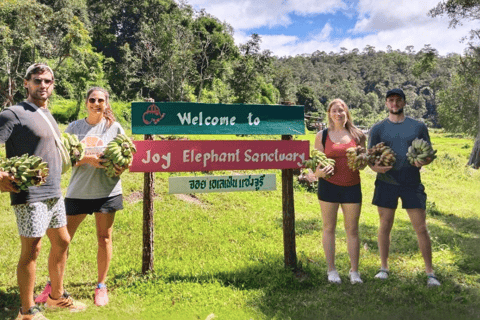 Chiang Mai: Santuario etico degli elefanti e escursione a Doi InthanonChiang Mai: Santuario etico degli elefanti e escursioni a Doi Inthanon