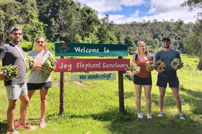 Chiang Mai: Santuario etico degli elefanti e escursione a Doi InthanonChiang Mai: Santuario etico degli elefanti e escursioni a Doi Inthanon