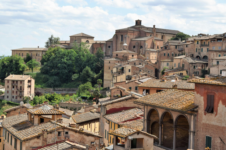 Private Day Trip from Rome: Orvieto & Civita di Bagnoregio