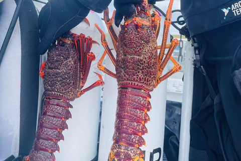 Hobart fishing and diving boat tour