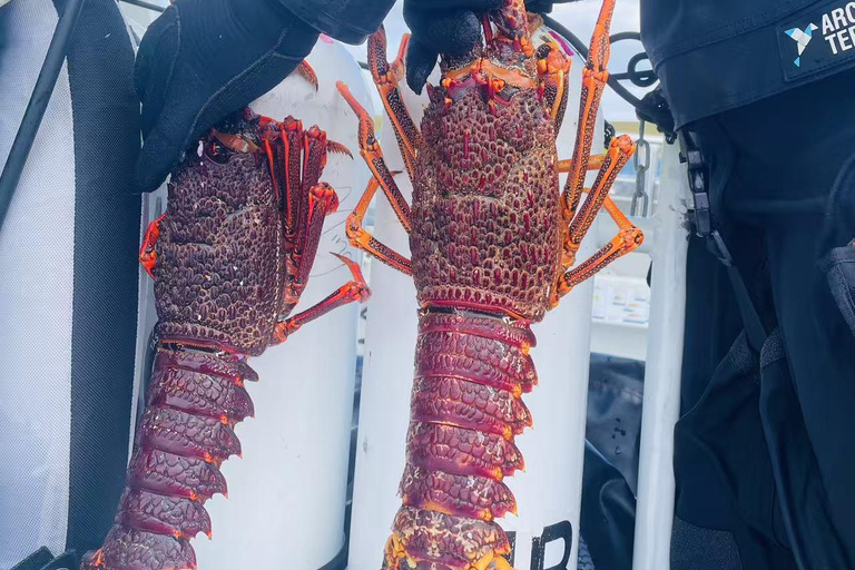 Hobart fishing and diving boat tour