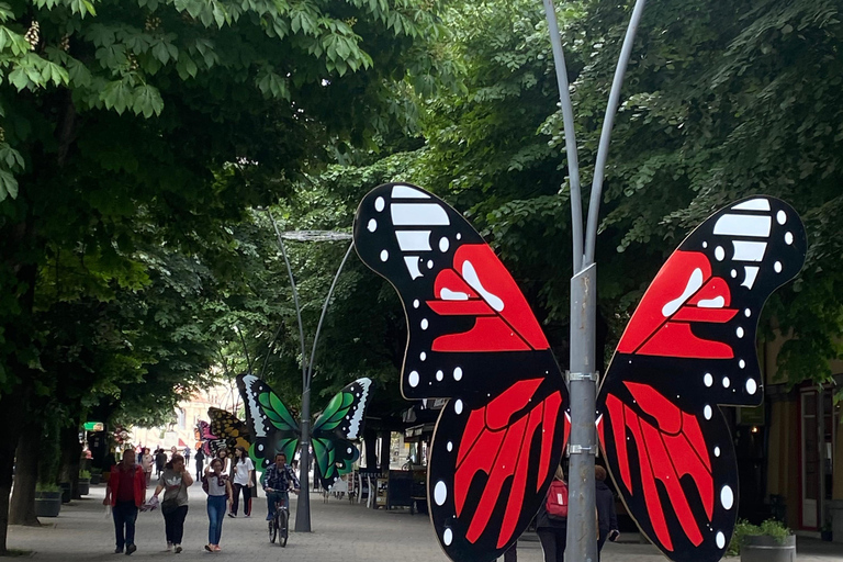 Desde Tirana/Durres: Korca, Voskopoja, Pogradec,Lin Excursión de un día