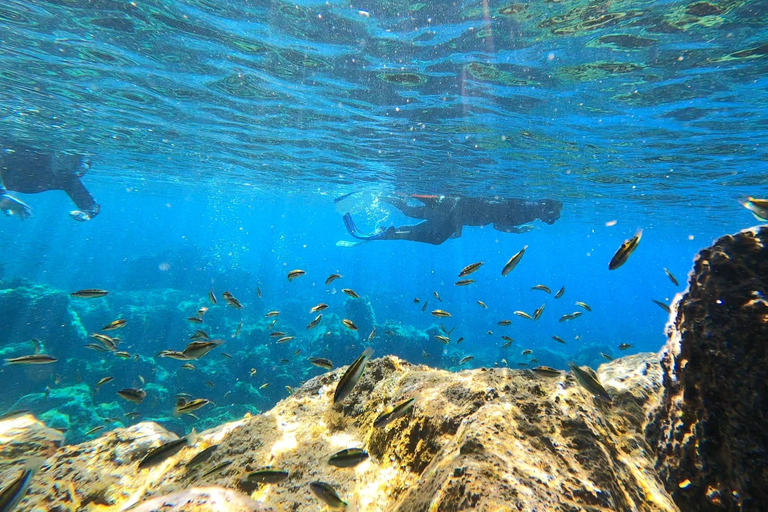 Abades: Excursión de snorkel en una zona marina protegida