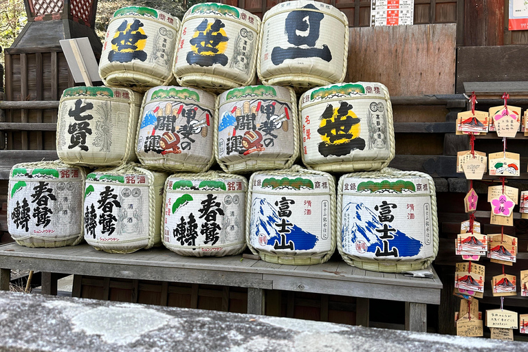 Mt Fuji Sightseeing Private tour with English Speaking Guide