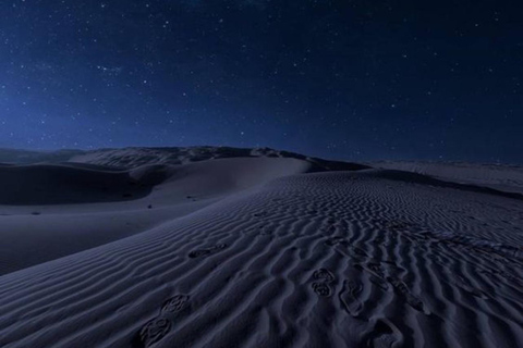 Doha: Night Desert Safari Stargazing Dune Bashing,Camel Ride