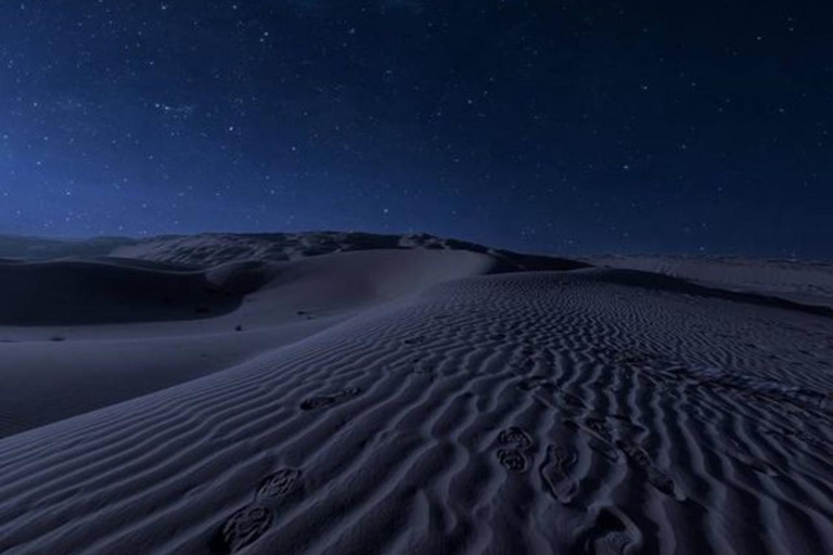 Doha: Night Desert Safari Stargazing Dune Bashing,Camel Ride