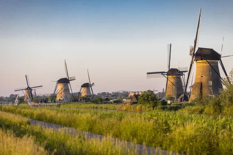 Z Rotterdamu: Kinderdijk, Delft i Haga - prywatna wycieczka