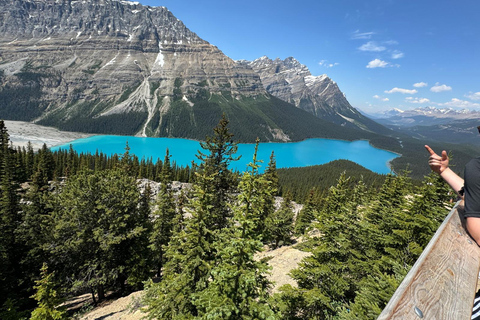 ColumbiaIcefield,CrowfootGlacierPyeto,Bow Lake&amp;Waterfowllake