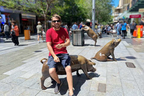 Adelaide: Excursão guiada a pé com bebida e lanche