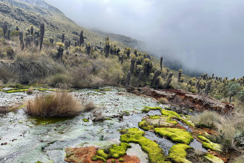 From Bogota: 4 Day - Hot Springs and Volcano Motorcycle TourEnglish