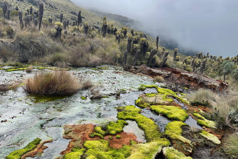 From Bogota: 4 Day - Hot Springs and Volcano Motorcycle TourEnglish