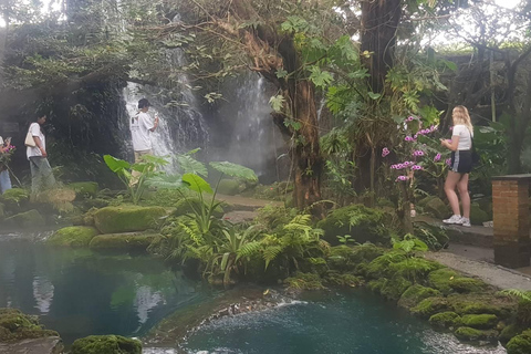 Gems of Chiangmai : Dantewada, Wat Ban den, Sticky Waterfall