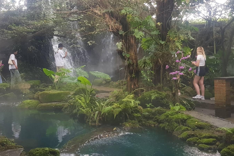 Gems of Chiangmai : Dantewada, Wat Ban den, Sticky Waterfall