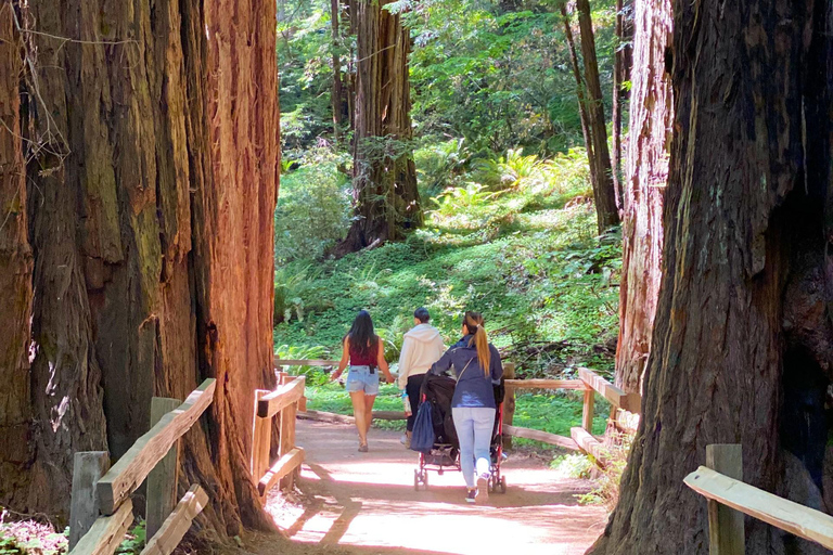 Private Muir Woods Tour plus Alcatraz Island (Max 6 w/Tix) 4 Guests - Muir Woods 3-Hr Private Jeep Tour PLUS Alcatraz