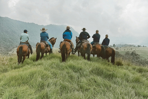 St Lucia: Horseback Ride and Pigeon Island Hike with Lunch