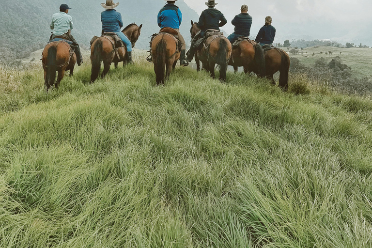 St Lucia: Horseback Ride and Pigeon Island Hike with Lunch