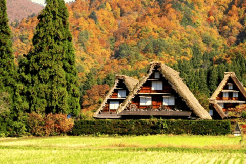 Visite à la journée de Shirakawago&amp;HidaTakayama&amp;GujoHachiman depuis Nagoya