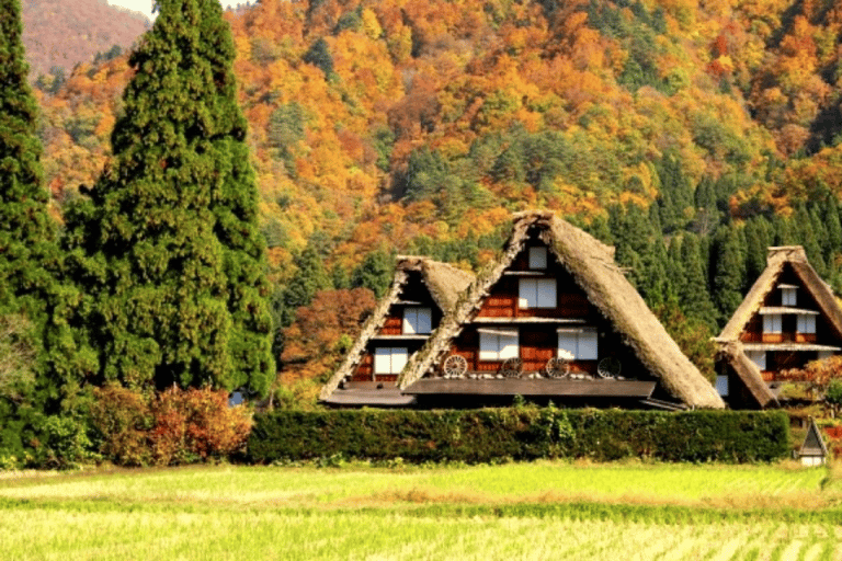 Shirakawago&amp;HidaTakayama&amp;GujoHachiman Dagstur från Nagoya