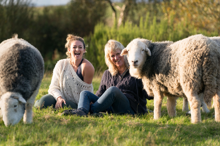 Écosse : Retraite autour d&#039;un thé avec Naughty Sheep