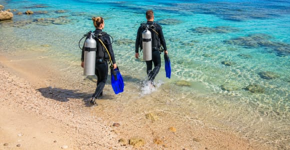 Marsa Alam: 2 House Reef or Shore Dives with Transfers