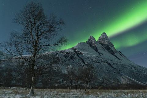 Tromsö: Norrsken stor bussjakt med gratis foton