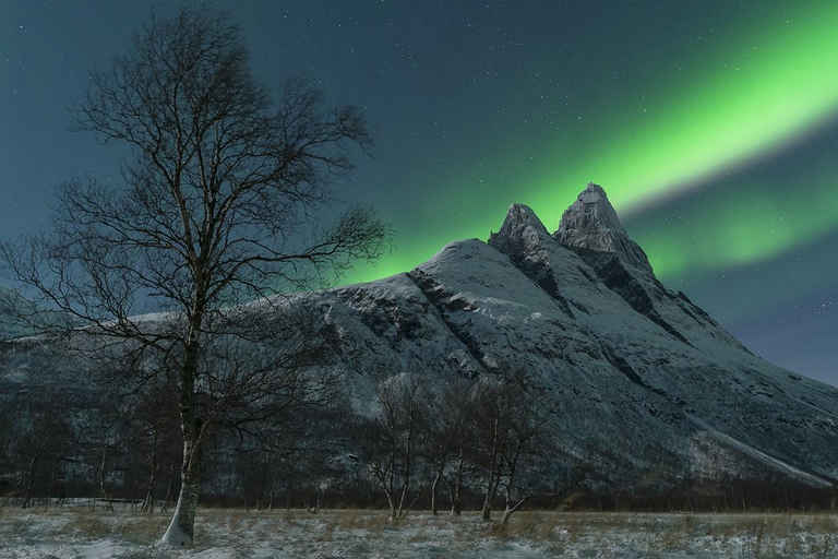 Tromsö: Nordlicht-Verfolgungsjagd im großen Bus mit kostenlosen Fotos