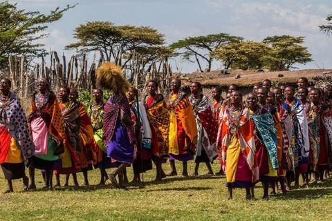 Nairobi: 3-Day Fly-In Private Maasai Mara Safari Experince